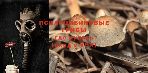 ALPHA PVP Богданович