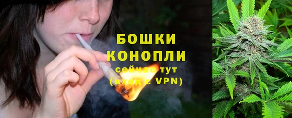 ALPHA PVP Богданович
