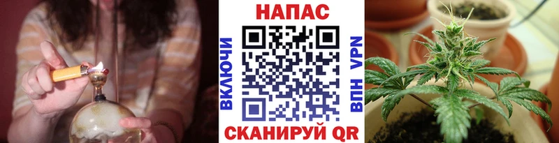 МЕГА зеркало  Щёкино  Каннабис OG Kush 